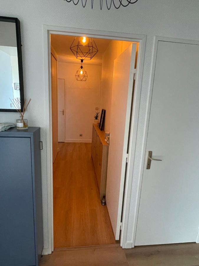 Grand Appartement Hypercentre Avec Terrasse Et Parking بواتييه المظهر الخارجي الصورة