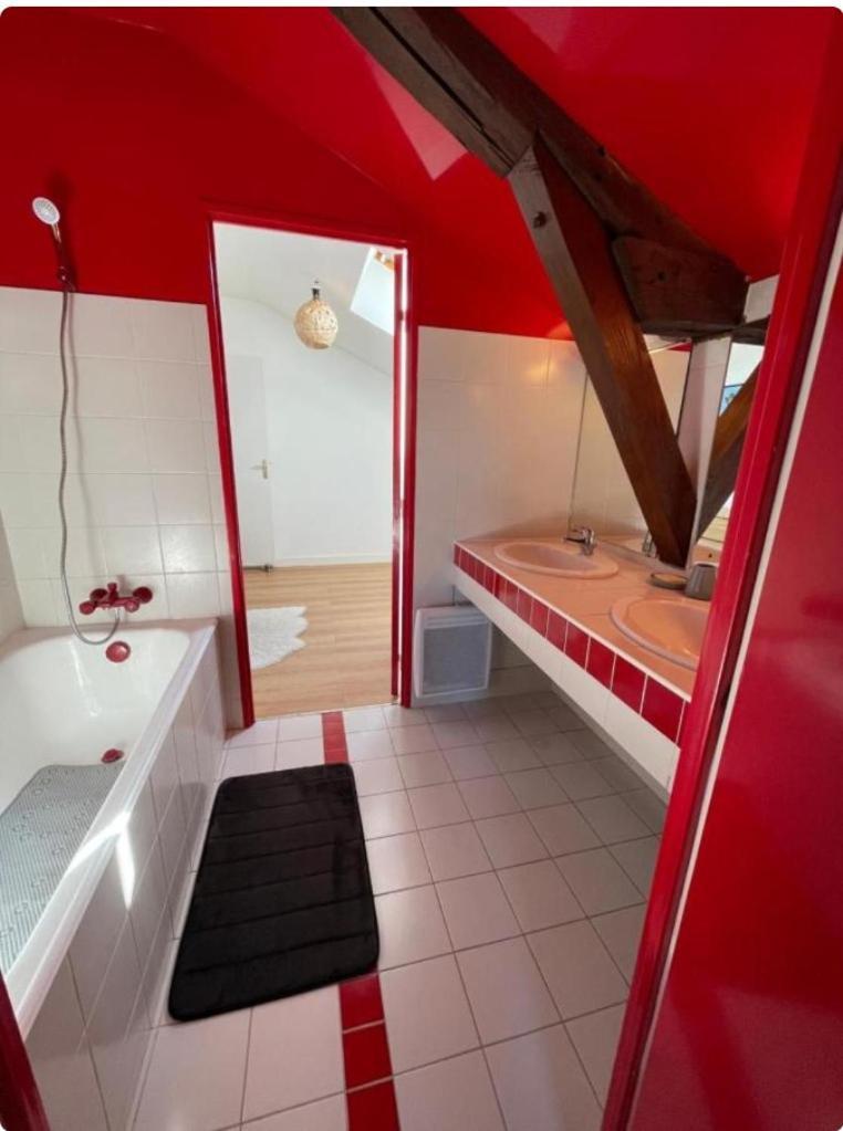 Grand Appartement Hypercentre Avec Terrasse Et Parking بواتييه المظهر الخارجي الصورة