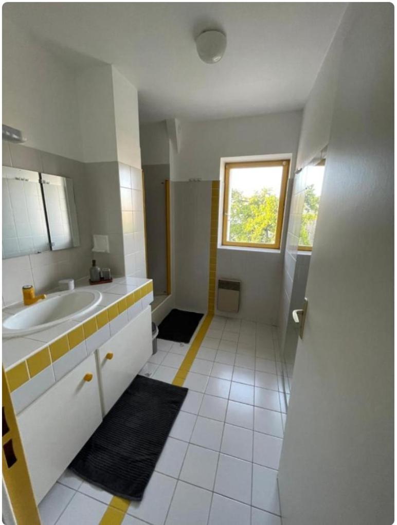 Grand Appartement Hypercentre Avec Terrasse Et Parking بواتييه المظهر الخارجي الصورة